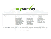 Tablet Screenshot of mysurvey.eu